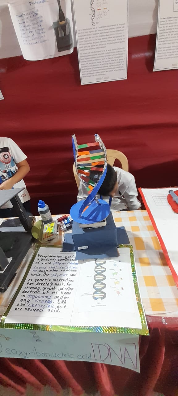 Science, Art & Craft Exhibition